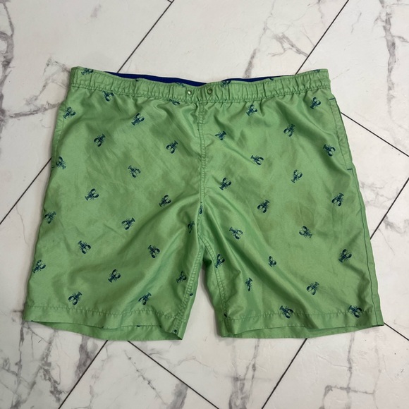 Izod Green and Blue 🦀 Swim Trunks for Relaxed Beach Days - Picture 1 of 3